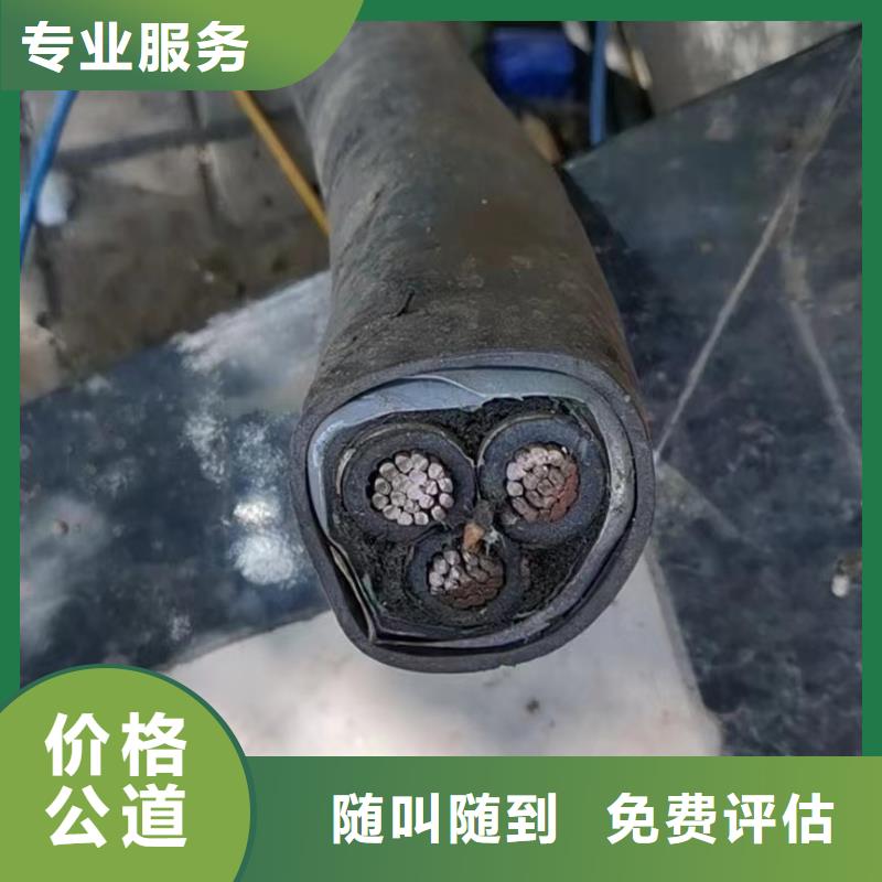 梯级式电缆桥架视频-梯级式电缆桥架(睿越)覆盖地域浙江省嘉兴市南湖|海盐|衢州|湖州|台州|温州|宁波|杭州|舟山
