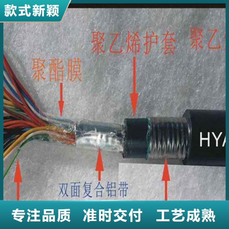 STP-120镀锡通讯电缆3X0.75