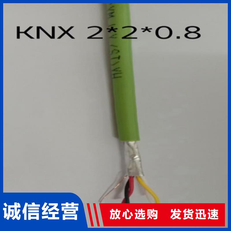 ZRA-HSGWPP222X5L阻燃网线2对0.75