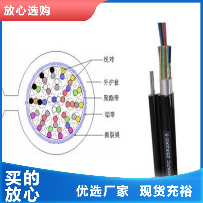 RS232/RS485通讯电缆公司