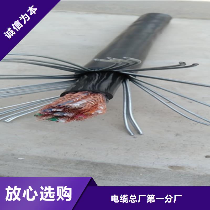 计算机电缆信号电缆厂家工艺先进