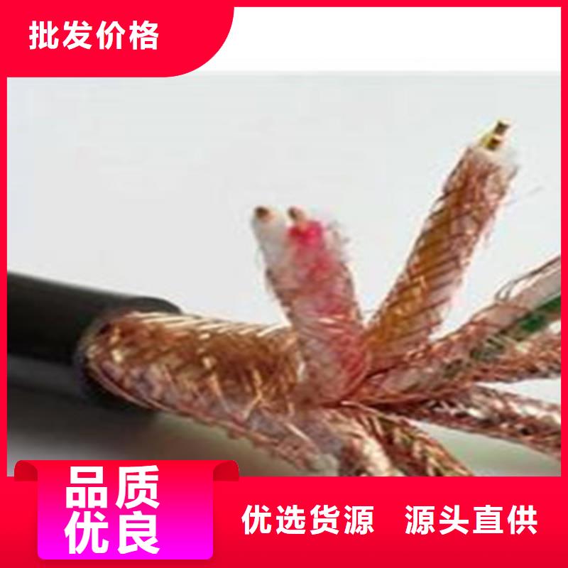 铠装计算机电缆DJYJPVP、铠装计算机电缆DJYJPVP厂家直销-找天津市电缆总厂第一分厂