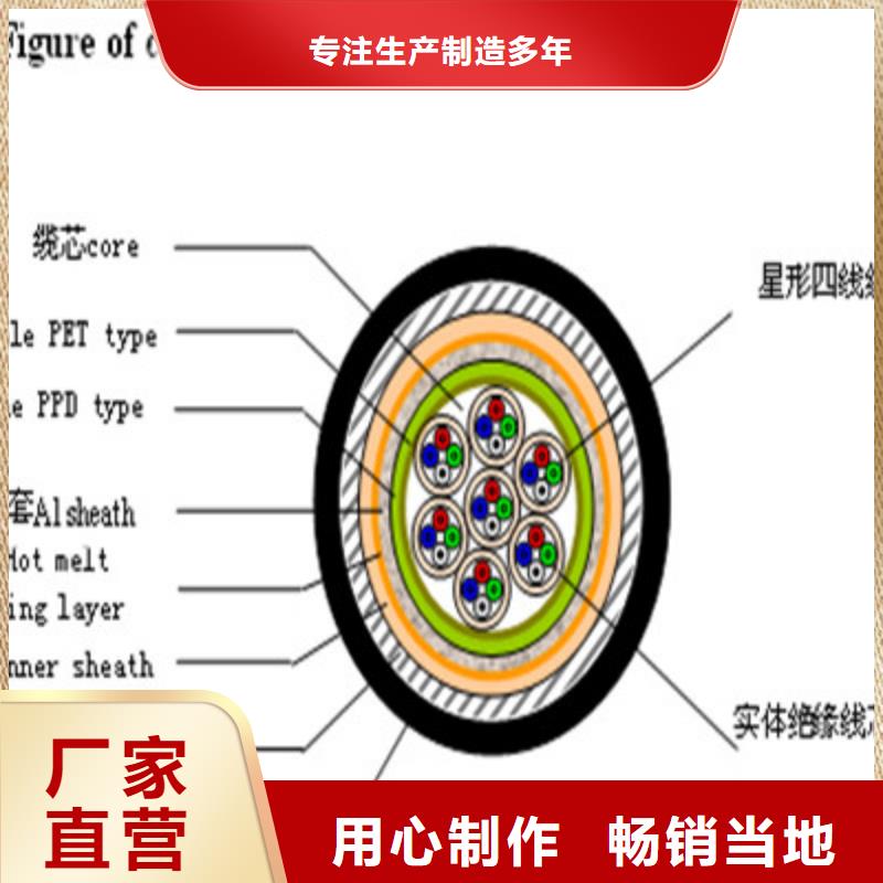 铁路信号电缆-通信电缆匠心品质