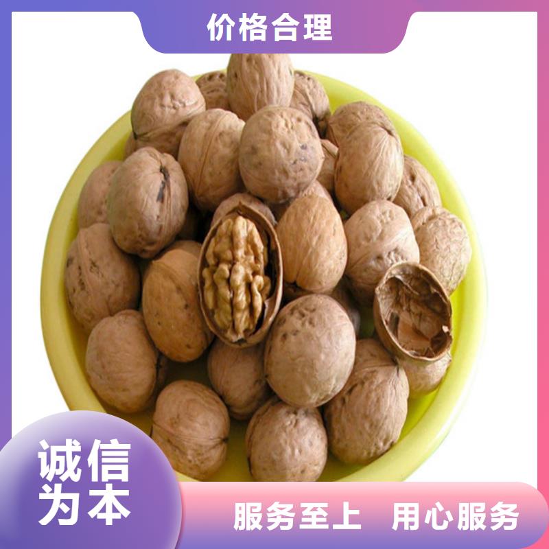 核桃苗【油蟠桃树苗】厂家规格全