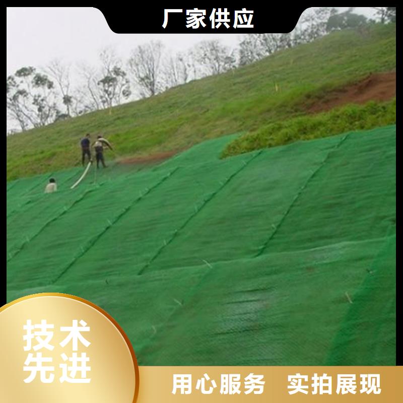 三维植被网土工膜当地厂家值得信赖