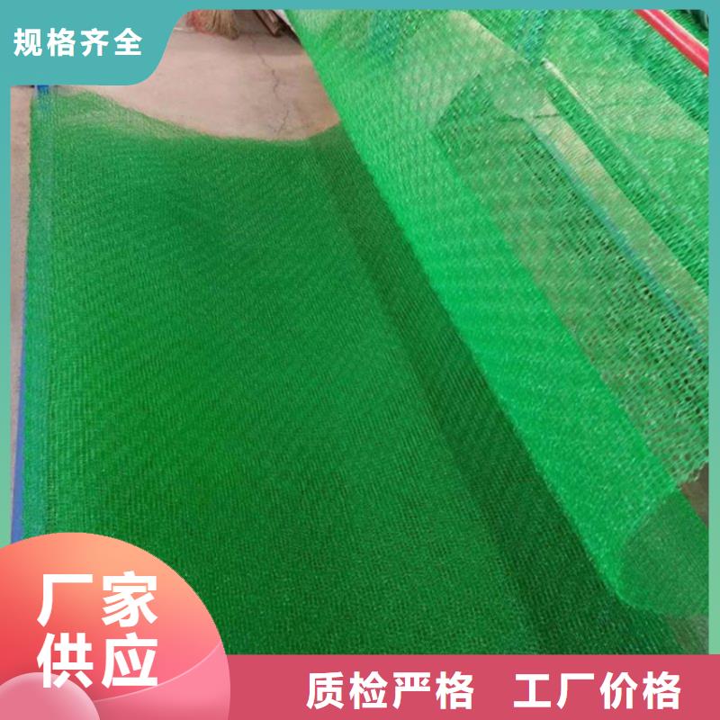 三维植被网【膨润土防水毯】厂家定制