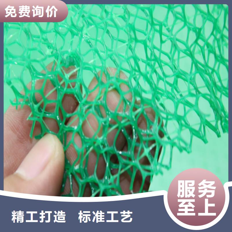 三维植被网塑料盲沟厂家销售