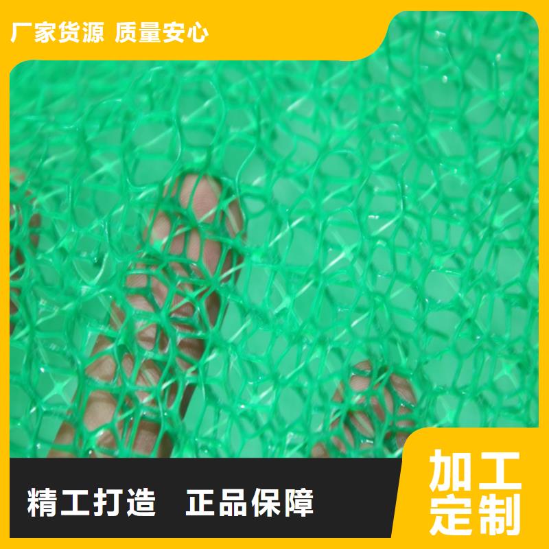 三维植被网塑料盲沟厂家销售