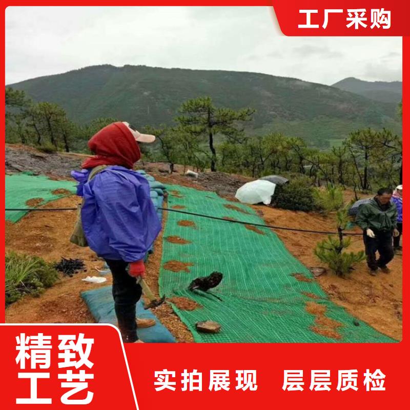 椰丝毯-膨润土防水毯诚信商家服务热情