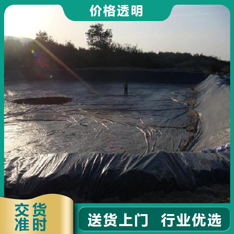 土工膜三维植被网优选厂商