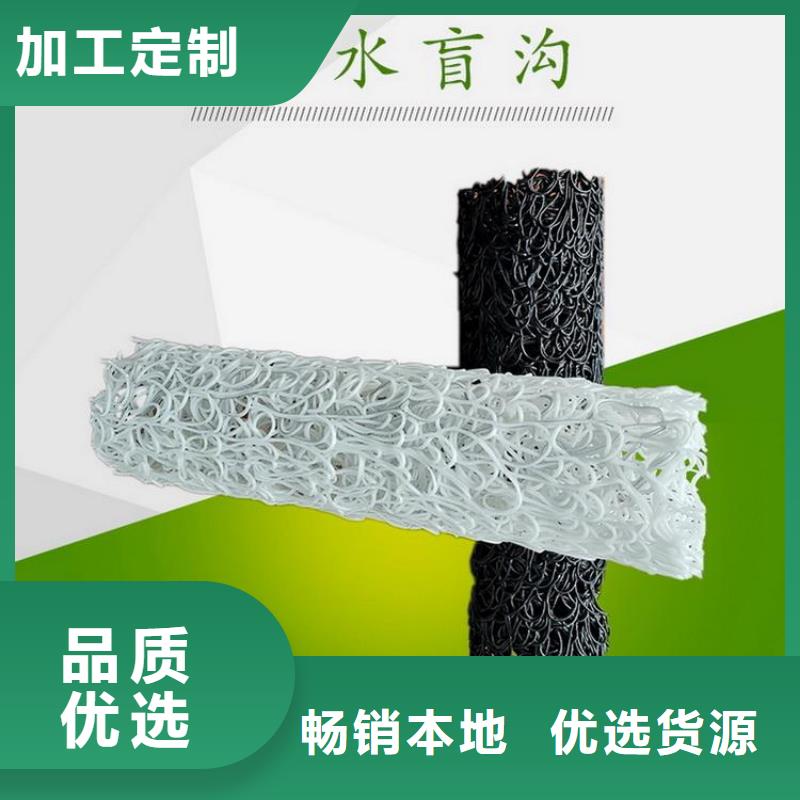 【塑料盲沟土工格栅生产型】-品质可靠(中齐)