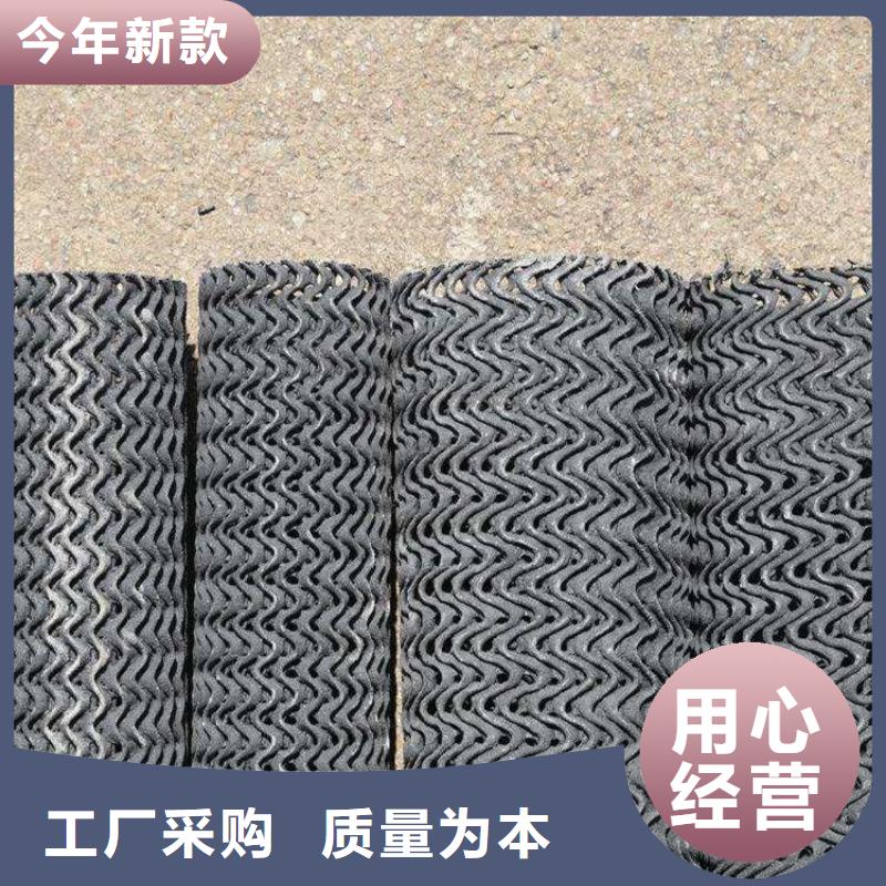 【硬式透水管】双向塑料土工格栅现货实拍