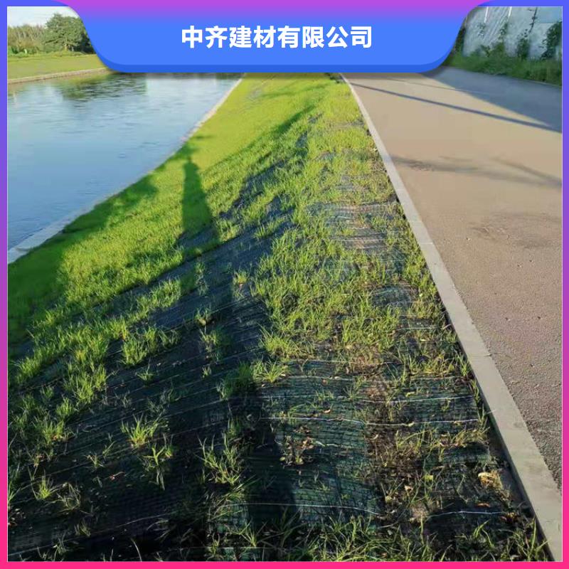 椰丝毯-聚酯布厂家质量过硬