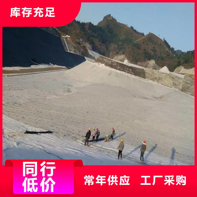 【膨润土防水毯】涤纶格栅您身边的厂家