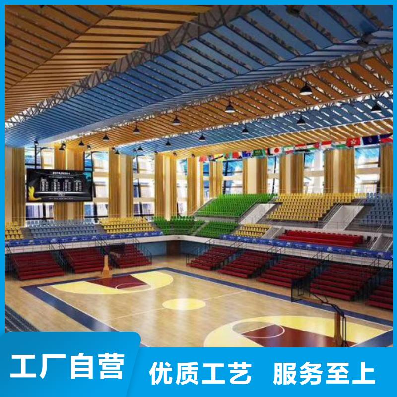 广东省本土凯音专业体育馆声学改造价格--2024最近方案/价格