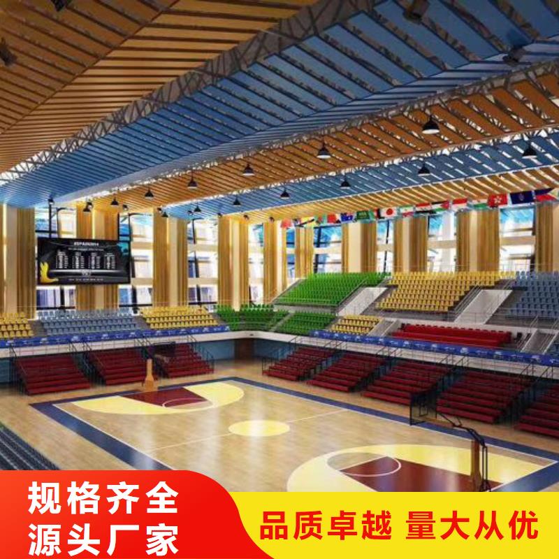 河北省保定市定制凯音训练馆体育馆吸音改造公司--2024最近方案/价格