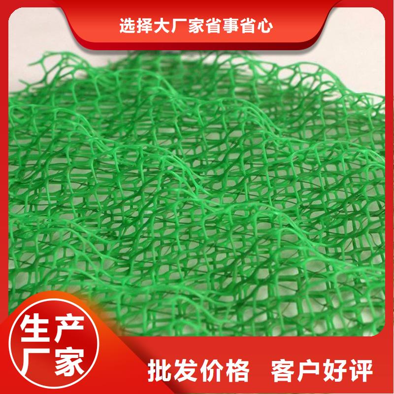 快速高效:欢迎来厂考察【金鸿耀】塑料三维植被网厂家