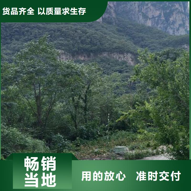 混凝土输送泵厂家地址