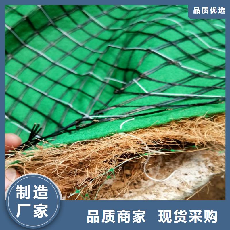 椰丝毯【三维植被网】优质工艺