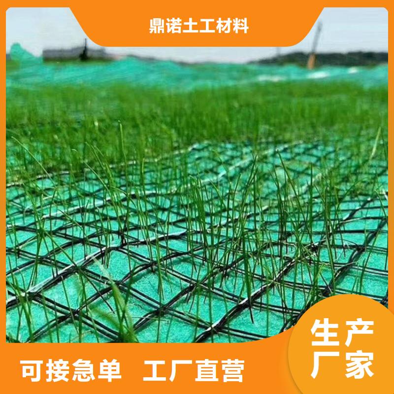 椰丝毯-草籽植生毯-绿化生态毯