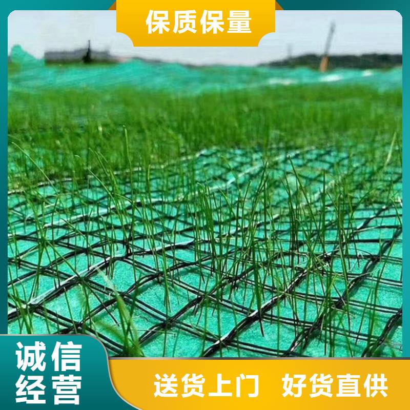 椰丝植物纤维毯-椰丝生态毯-椰丝环保草毯