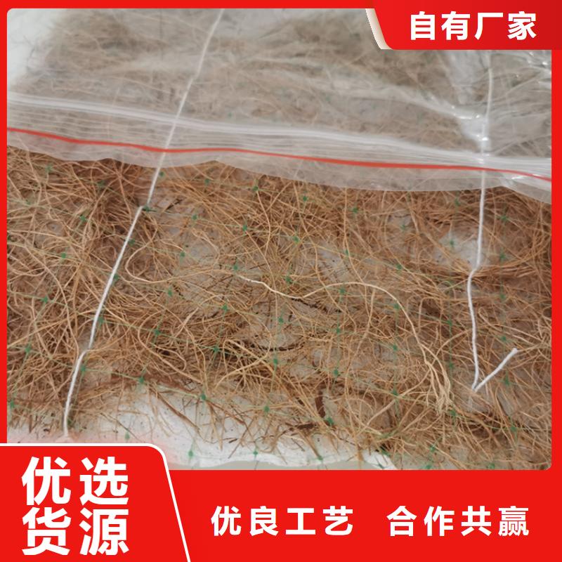 多年行业积累(鼎诺)椰丝毯-土工格栅专业生产制造厂