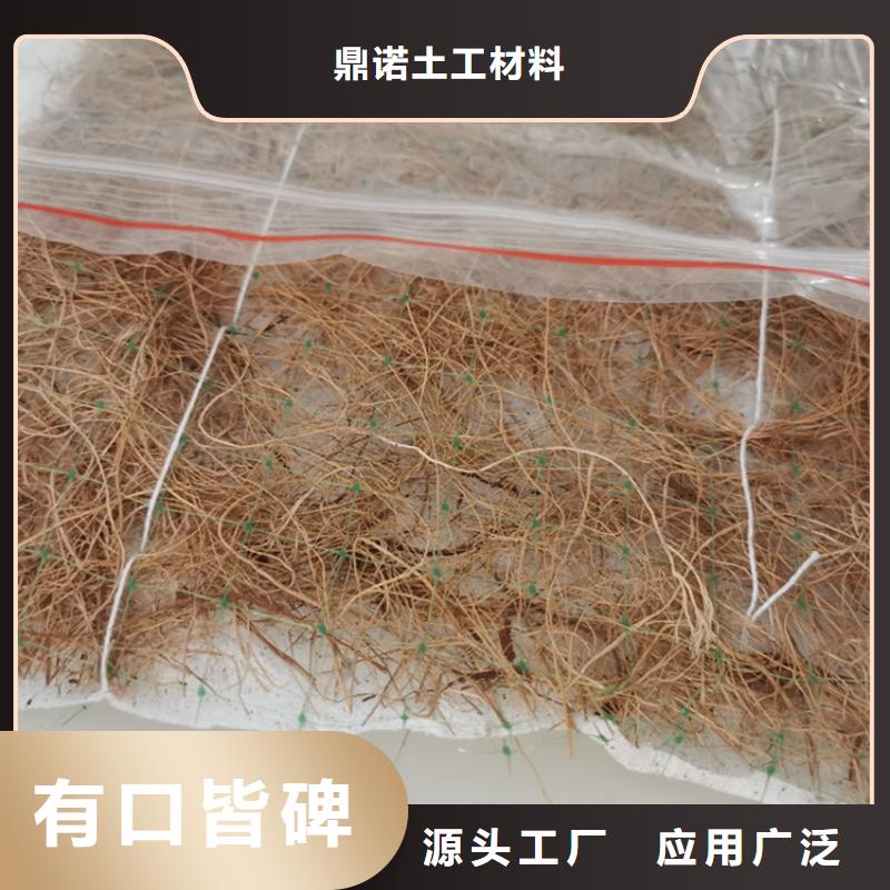 植物纤维毯-护坡椰丝毯-植生草毯