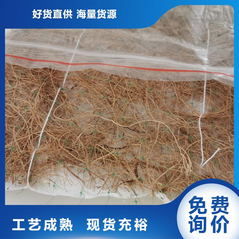 甄选：植物生态防护毯-植生椰丝毯性能密度-鼎诺土工材料