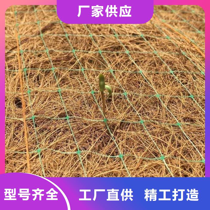 订购【鼎诺】护坡植被植草毯-椰纤植生毯