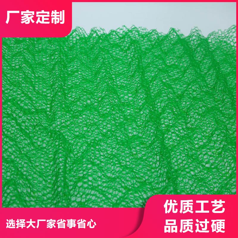 三维固土网垫加筋绿化