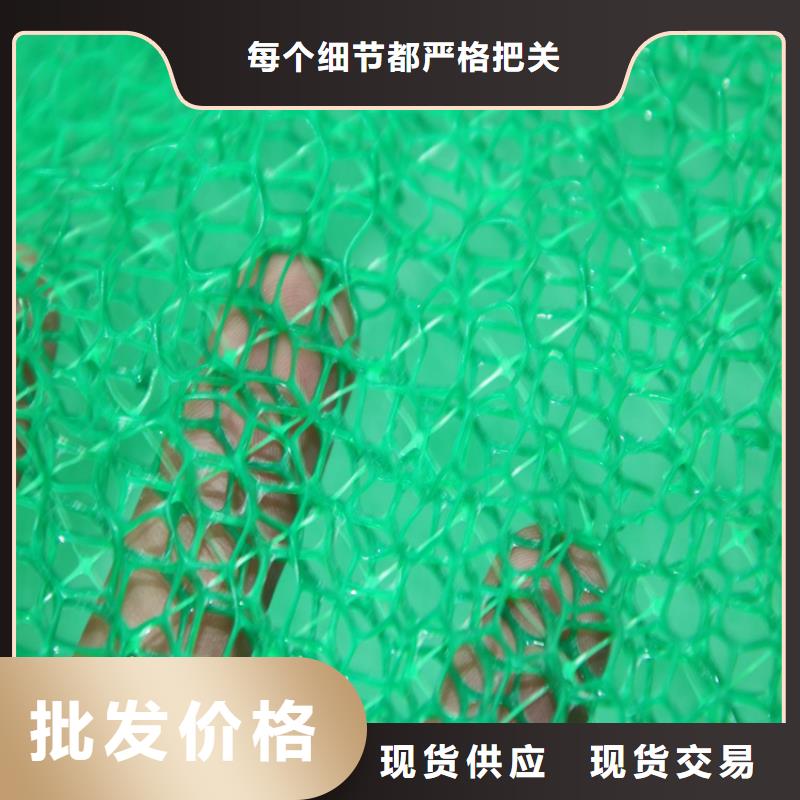 三维土工网垫EM2塑料