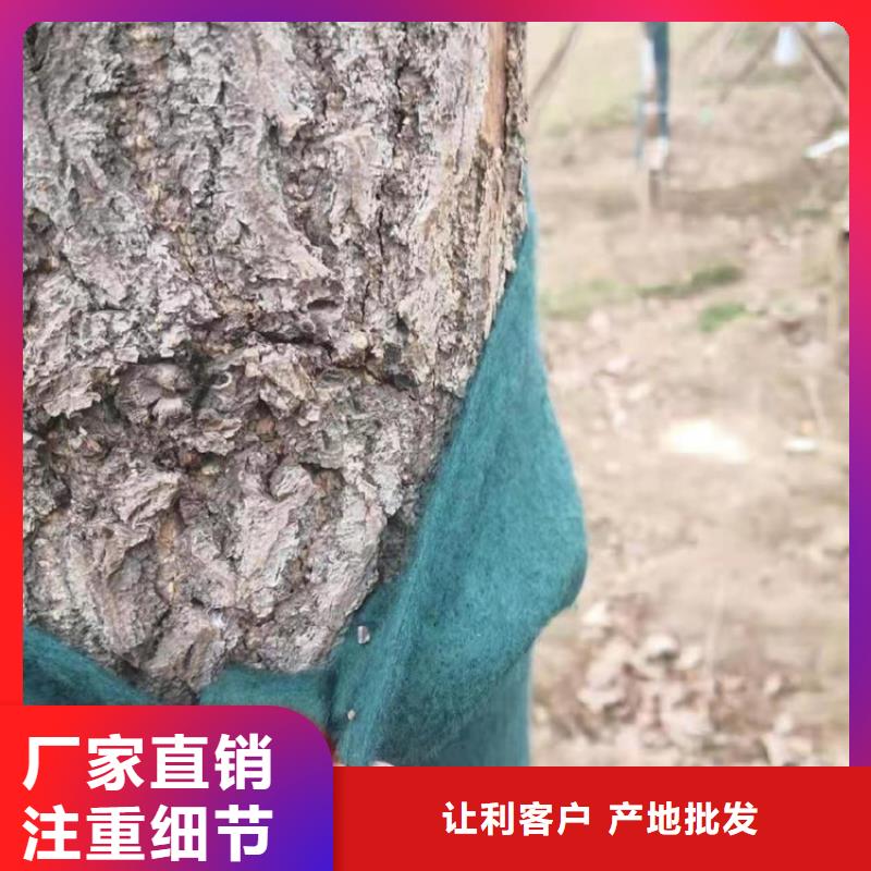 裹树布膨润土防水毯品质服务