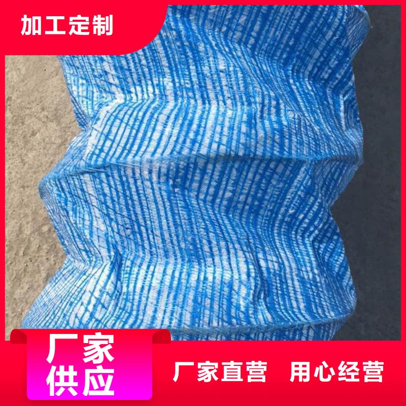 软式透水管HDPE土工膜品牌专营