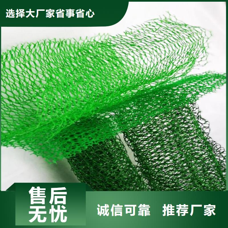 三维植被网-护坡三维土工网垫