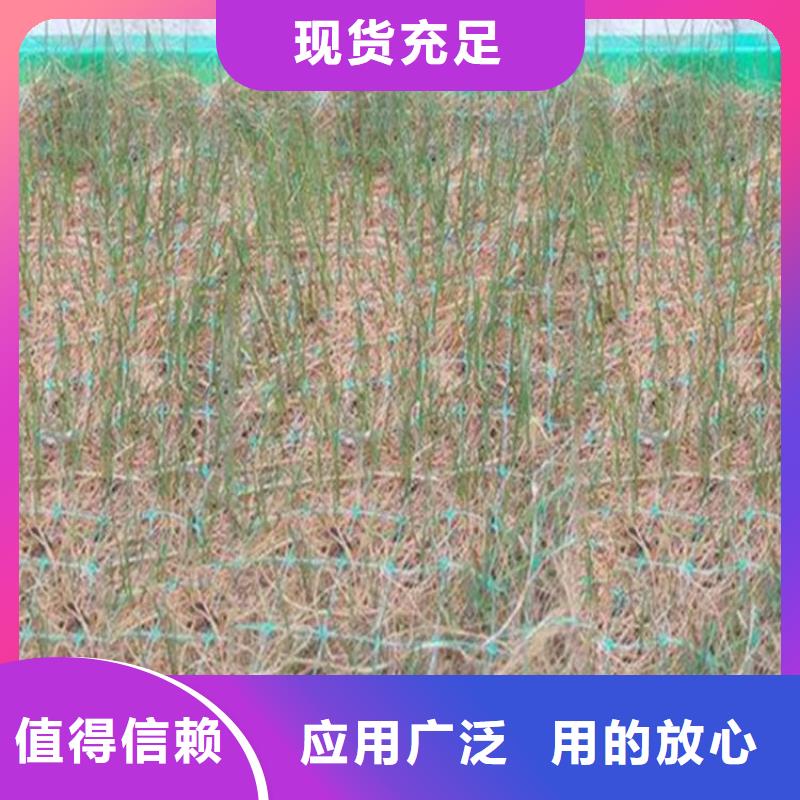 植物纤维毯厂家-公司代理