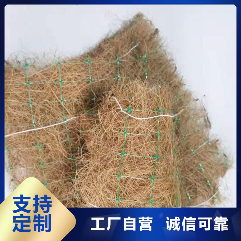 植生椰丝毯-加筋抗冲生态毯-生态草毯