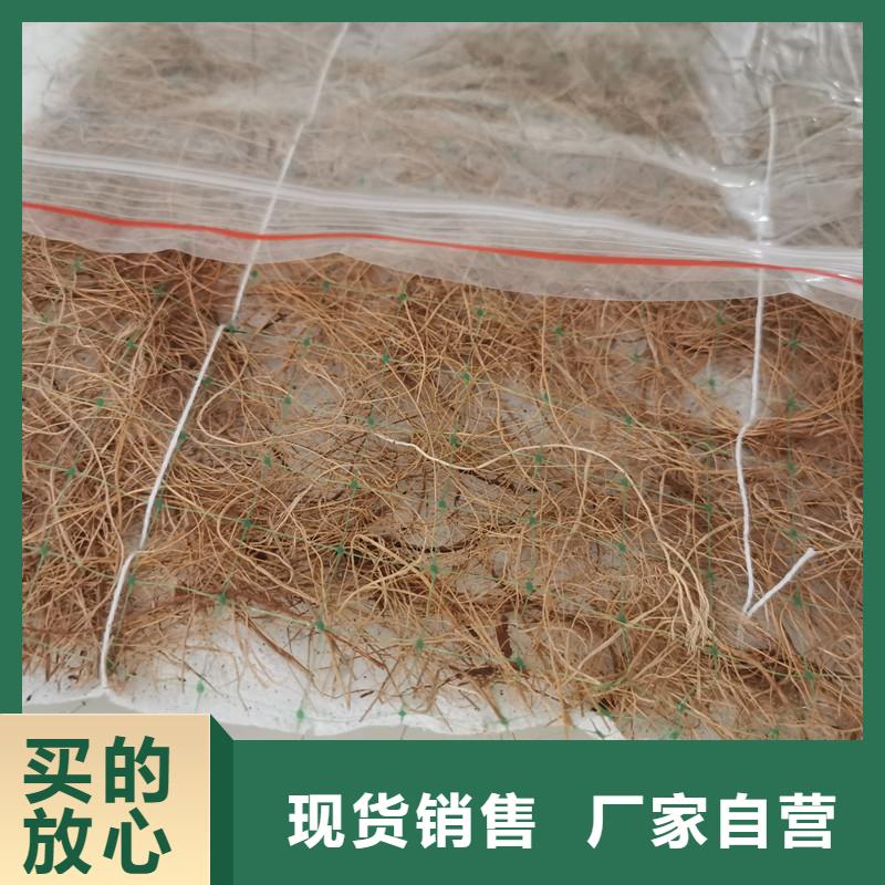 生态环保草毯-绿化植被垫