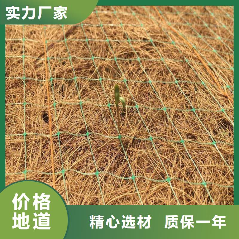 植生椰丝毯-加筋抗冲生态毯-生态草毯