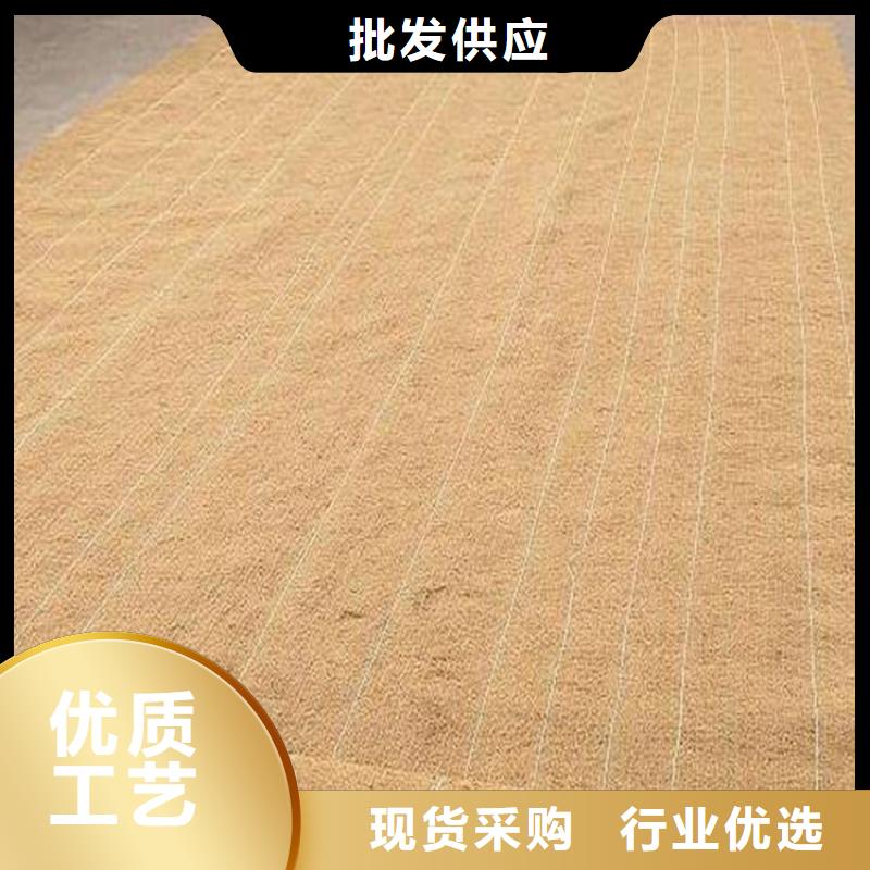 椰纤植生毯-加筋抗冲生态毯