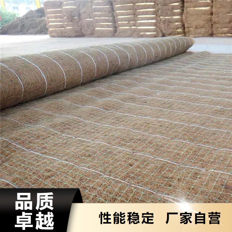 三沙市植物生态防护毯-护坡植被植草毯-植被纤维毯