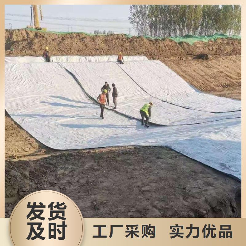 【膨润土防水毯】土工膜省心又省钱