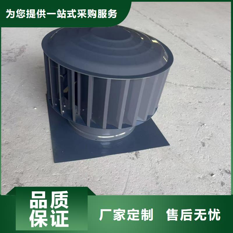 A系列直径300BPS型风帽实力厂家