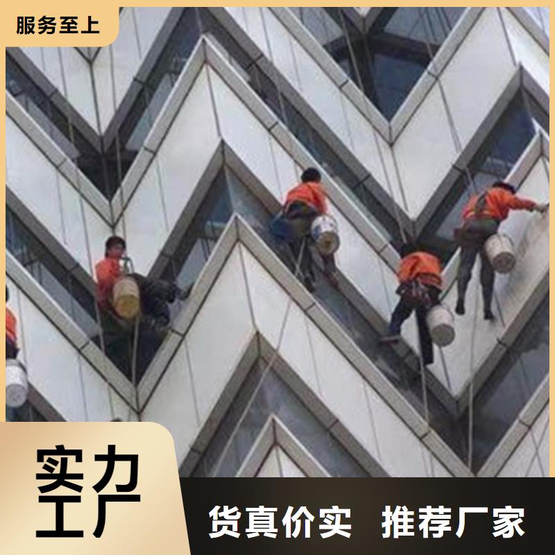 外墙清洗【室内外清洁】颜色尺寸款式定制