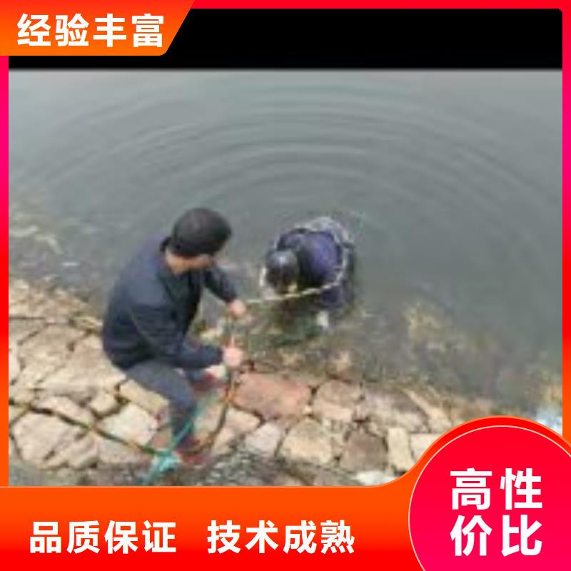 蛙人潜水队单价