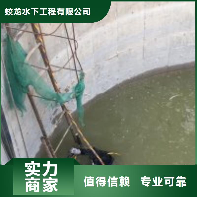 【苏州】定制蛙人潜水服务公司 大厂家买的安心