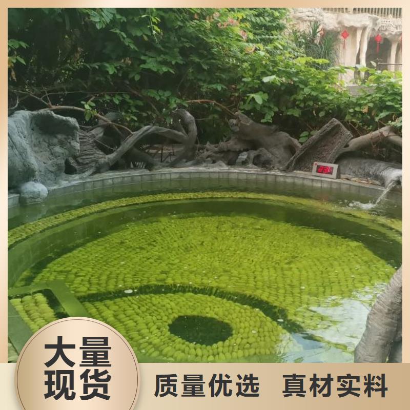 
珍珠岩过滤器
水乐园设备供应商