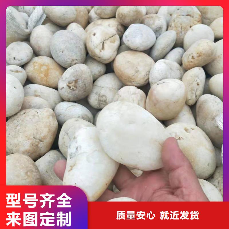 生产氨氮去除剂价格_品牌厂家