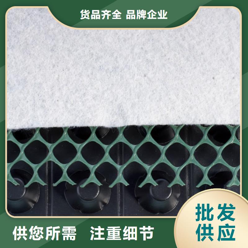 塑料排水板价格-生产厂家_朋联工程材料有限公司