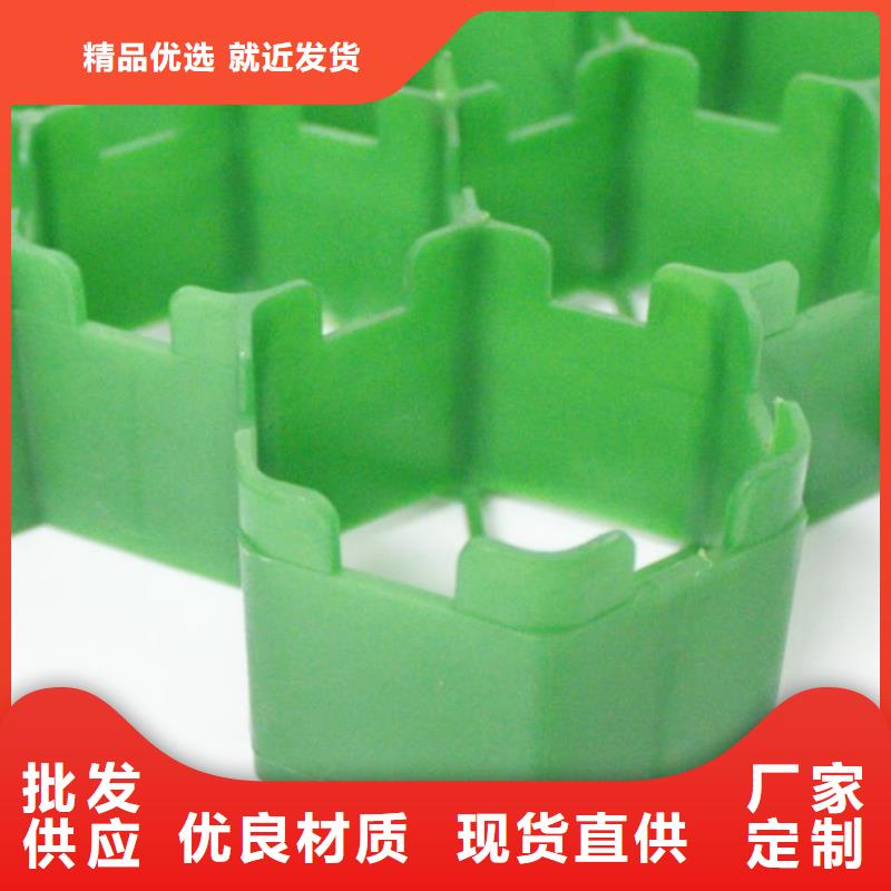 塑料植草格产品-批发零售