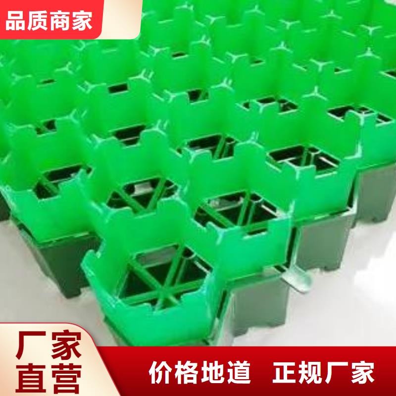 塑料植草格实业集团-欢迎咨询